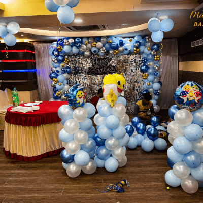 Childrens birthday party setup